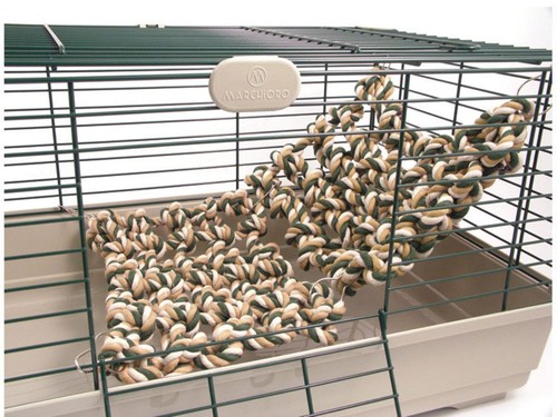 Boredom breaker rat - boredom, and