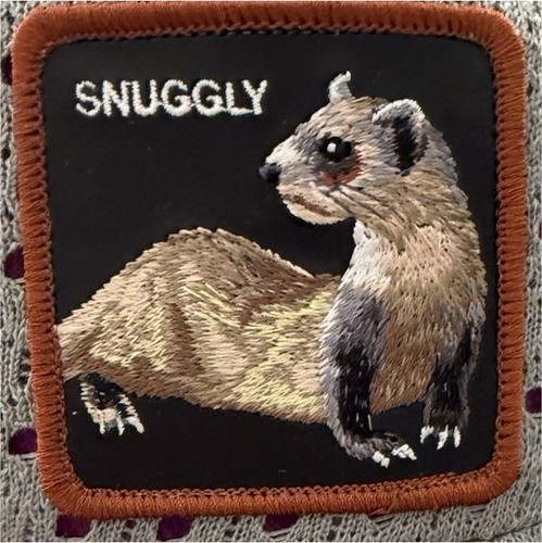 Gray purple trucker hat ferret - gray,