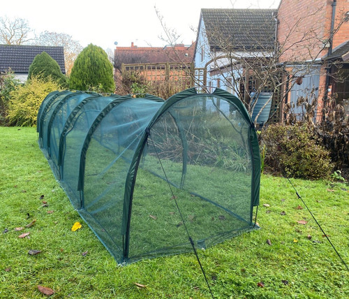 1m h chicken run - x,