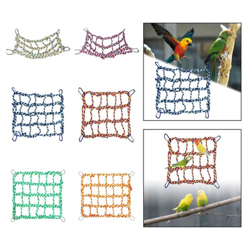 Pet hanging hammock play - hanging, bird